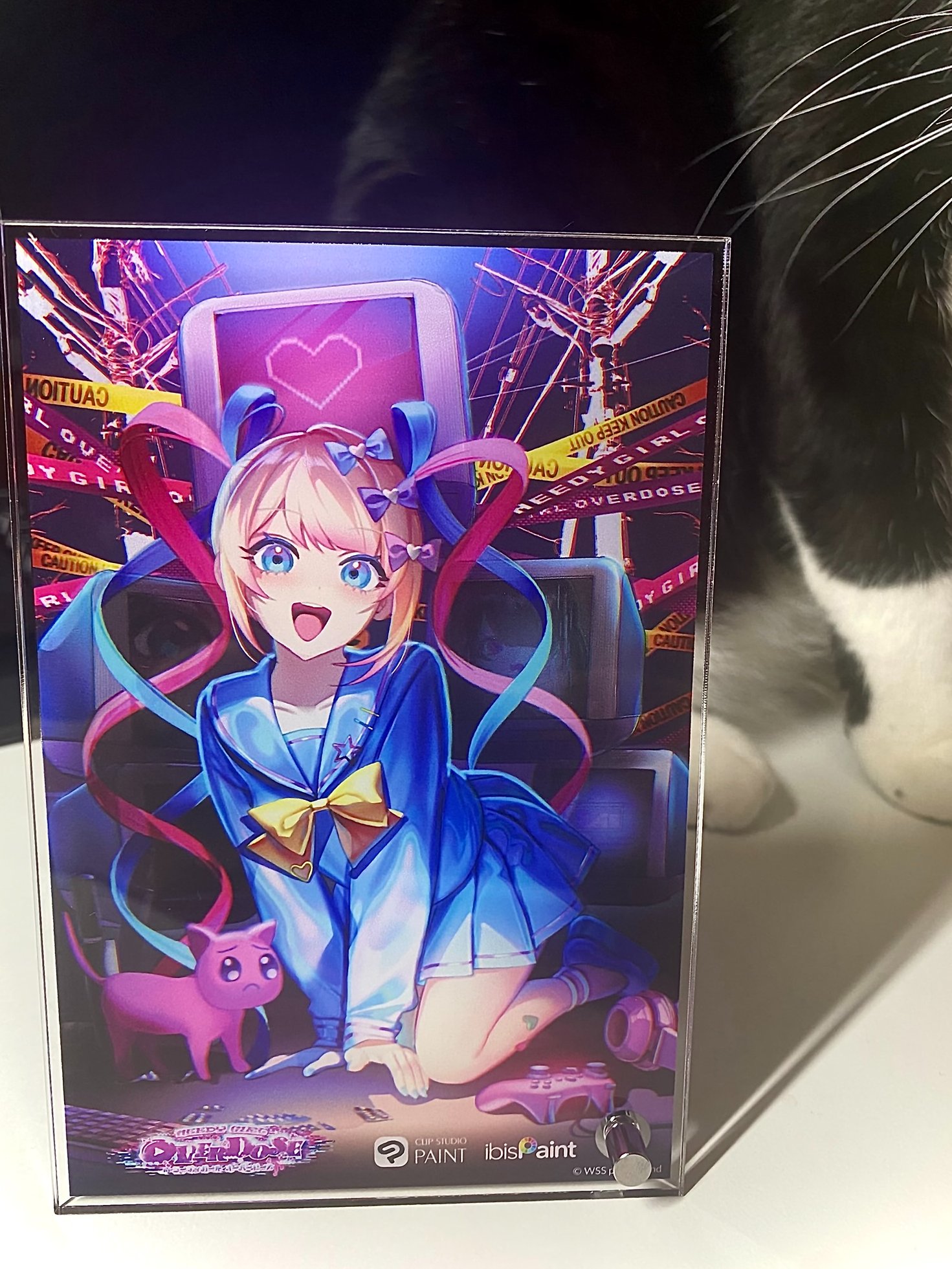 【ねこ】 楽天市場】【最大 10,000円オフクーポン ※要LINE条件達成