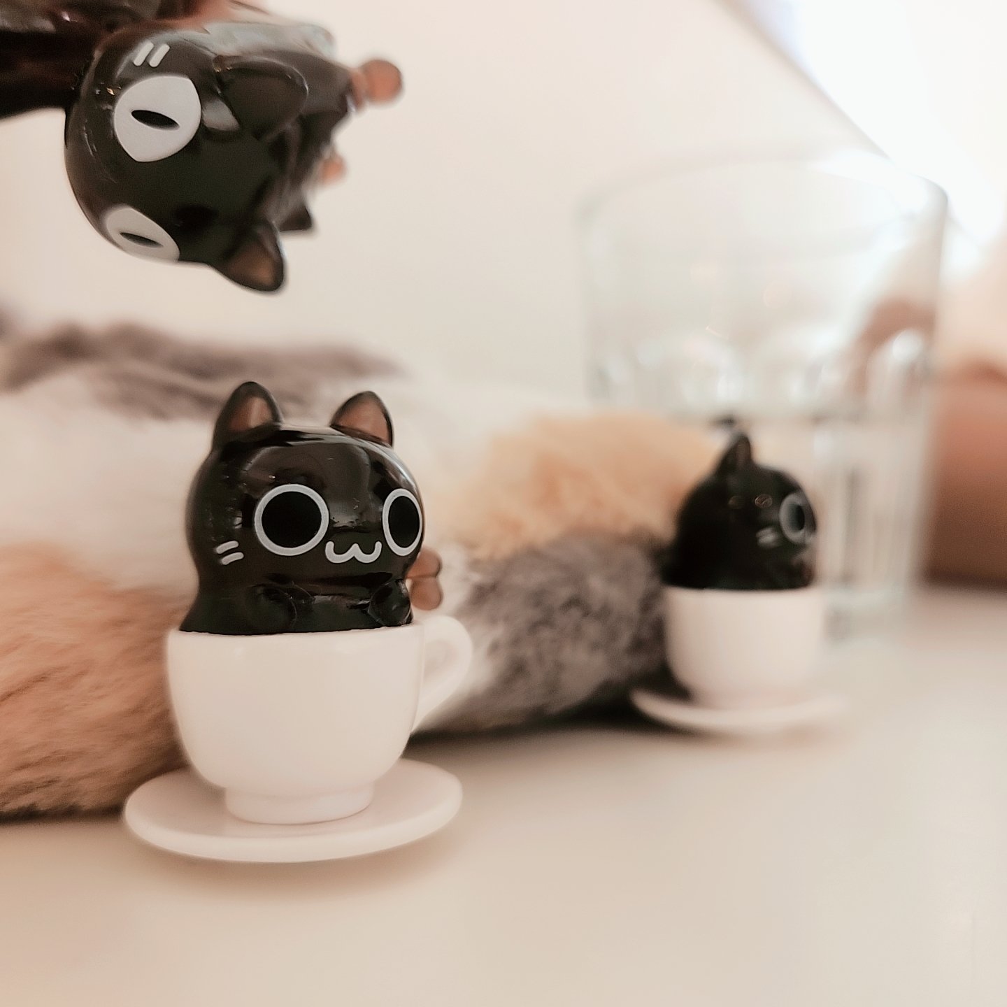 ねこまみれ 光(ひかる) 6/21📷 R5.4～長期治療中🐢 on X: 