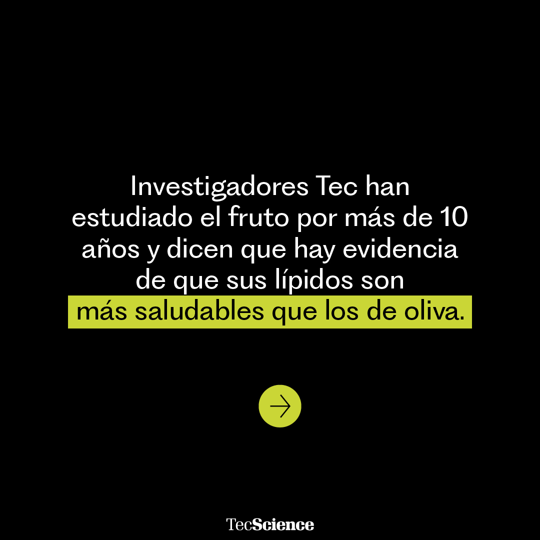 TecScience_'s tweet photo. 🥑 Un aceite adulterado puede poner en riesgo tu salud. Un estudio del @TecdeMonterrey encontró que muchos aceites de aguacate en el mercado están mezclados con otros aceites de menor valor nutricional, incluso con ingredientes que podrían ser alérgenos.

👀 Te explicamos cómo identificar un aceite de aguacate 100% puro para proteger tu salud y aprovechar sus beneficios reales.

Encuentra más información aquí https://t.co/nQbROJckb0