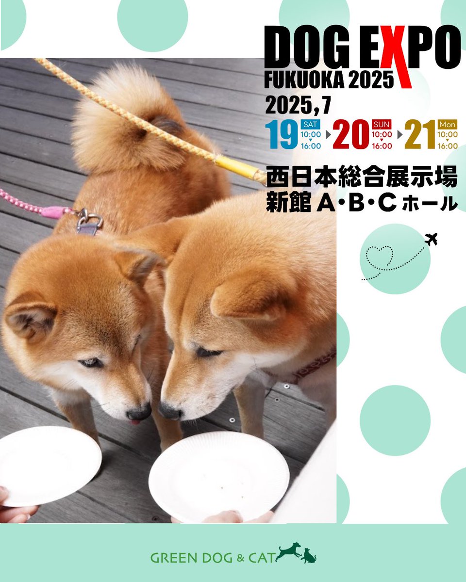 greendog_com's tweet photo. おはようございます🐶🐱

2025年7月19日（土）21日（月）に
西日本総合展示場新館
A.B.Cホールで開催されている
「DOG EXPO FUKUOKA 2025」に
GREEN DOG&CATが出店しています。
九州は初出店です！

ぜひお近くの方は遊びに来てください😊
スタッフ一同お待ちしています。

イベント詳細はこちら
https://t.co/qDiAdyKfv8

#DOGEXPOFUKUOKA2025
#ドッグエキスポフクオカ2025
#九州