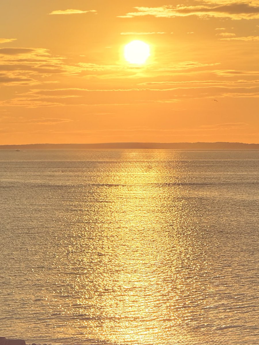 Playing with settings. Same picture, different treatments.