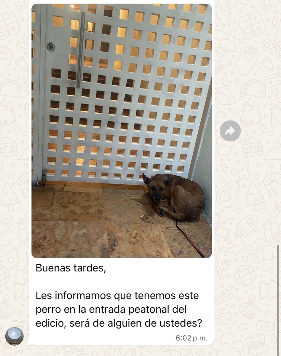🪐 Roxana Cortés (@roxanacortesm) on Twitter photo #coloniaroma un perrito llegó a la entrada de mi condominio (cercano al Sumesa de Avenida Yucatán): ¿me ayudan a compartir? #romanorte <a href="/LaRomaDF/">Colonia Roma 🚲</a> #coloniaroma un perrito llegó a la entrada de mi condominio (cercano al Sumesa de Avenida Yucatán): ¿me ayudan a compartir? #romanorte <a href="/LaRomaDF/">Colonia Roma 🚲</a>