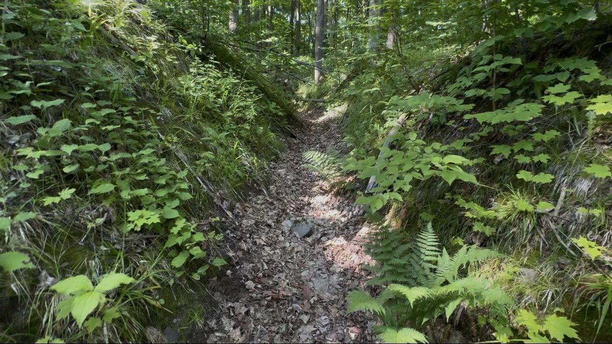 JeffUP_North's tweet image. These copper mines began operation in the winter of 1854 north of Lake Gogebic. 3 considerable shafts were sunk in to the base of a ridge at a 45° for about 100 feet. It is believed that one reason for choosing this site to mine was nearby ancient copper culture pits