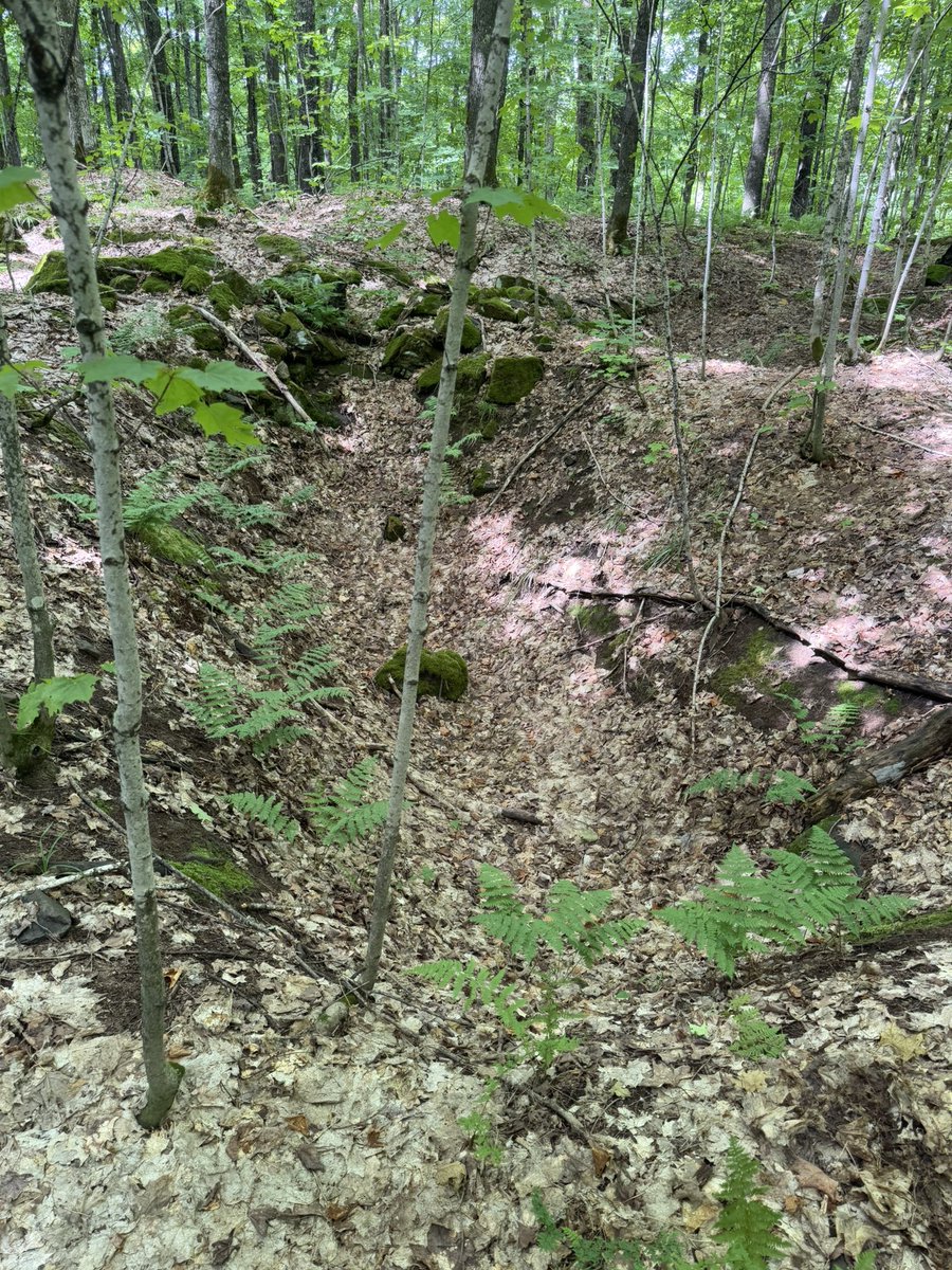JeffUP_North's tweet image. These copper mines began operation in the winter of 1854 north of Lake Gogebic. 3 considerable shafts were sunk in to the base of a ridge at a 45° for about 100 feet. It is believed that one reason for choosing this site to mine was nearby ancient copper culture pits