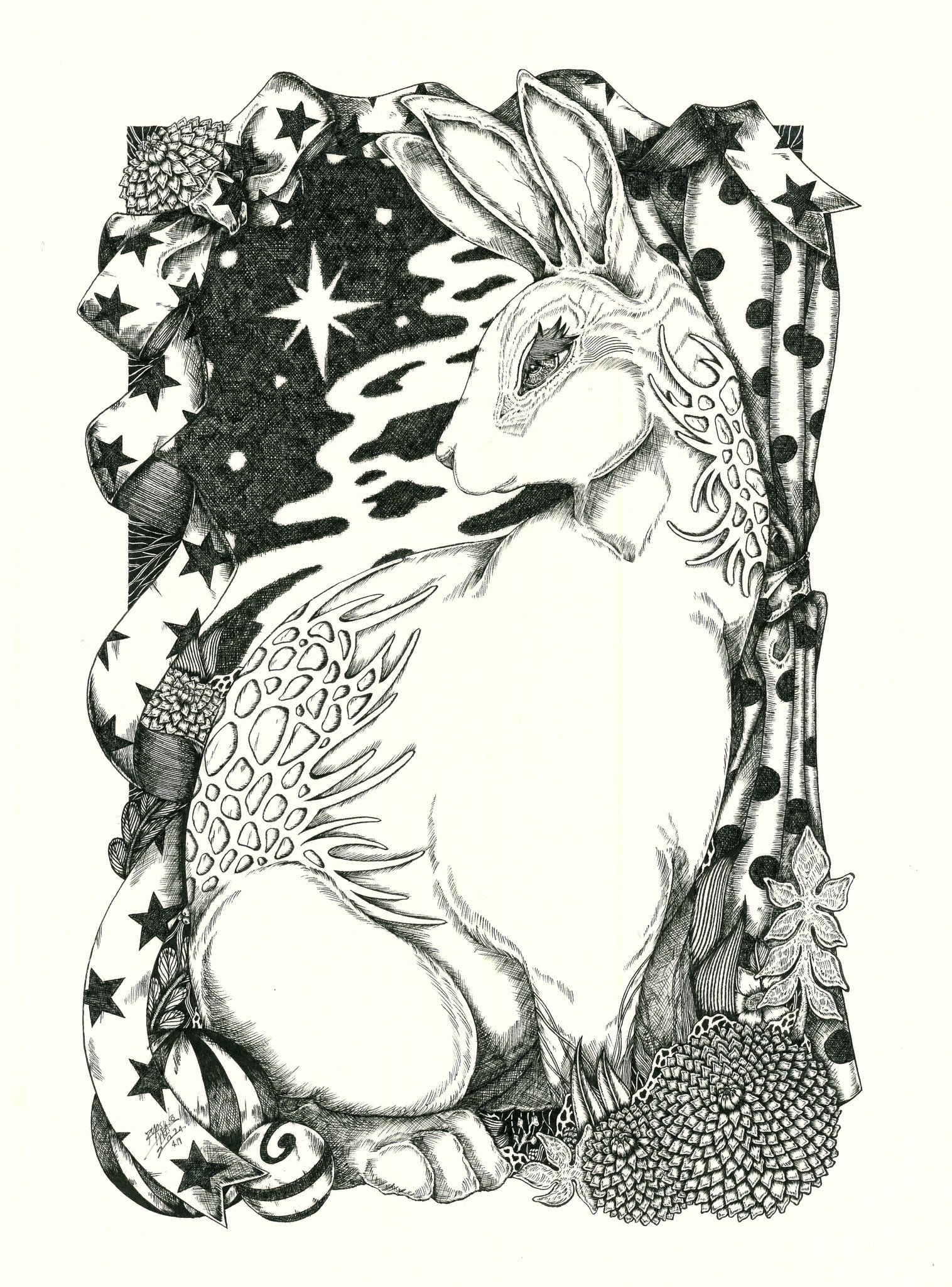 作者不詳　ペン画 アオガチョウ 7月21日ドリームコミッション大阪 on X: 