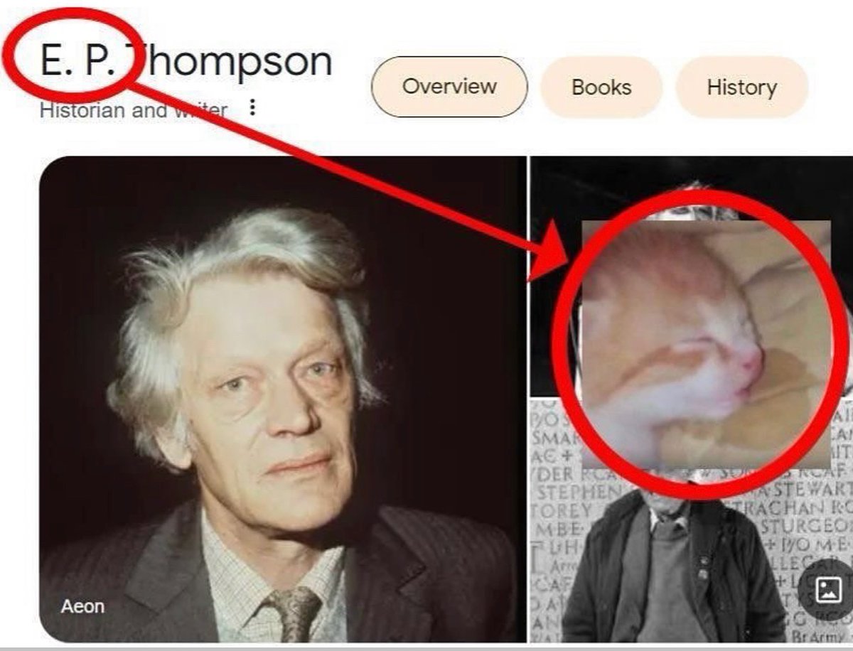 Punch Cat tweet media