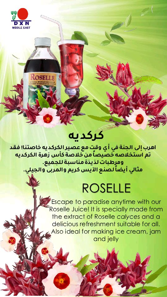 Roza Shami (@shamiroza15078) on Twitter photo 