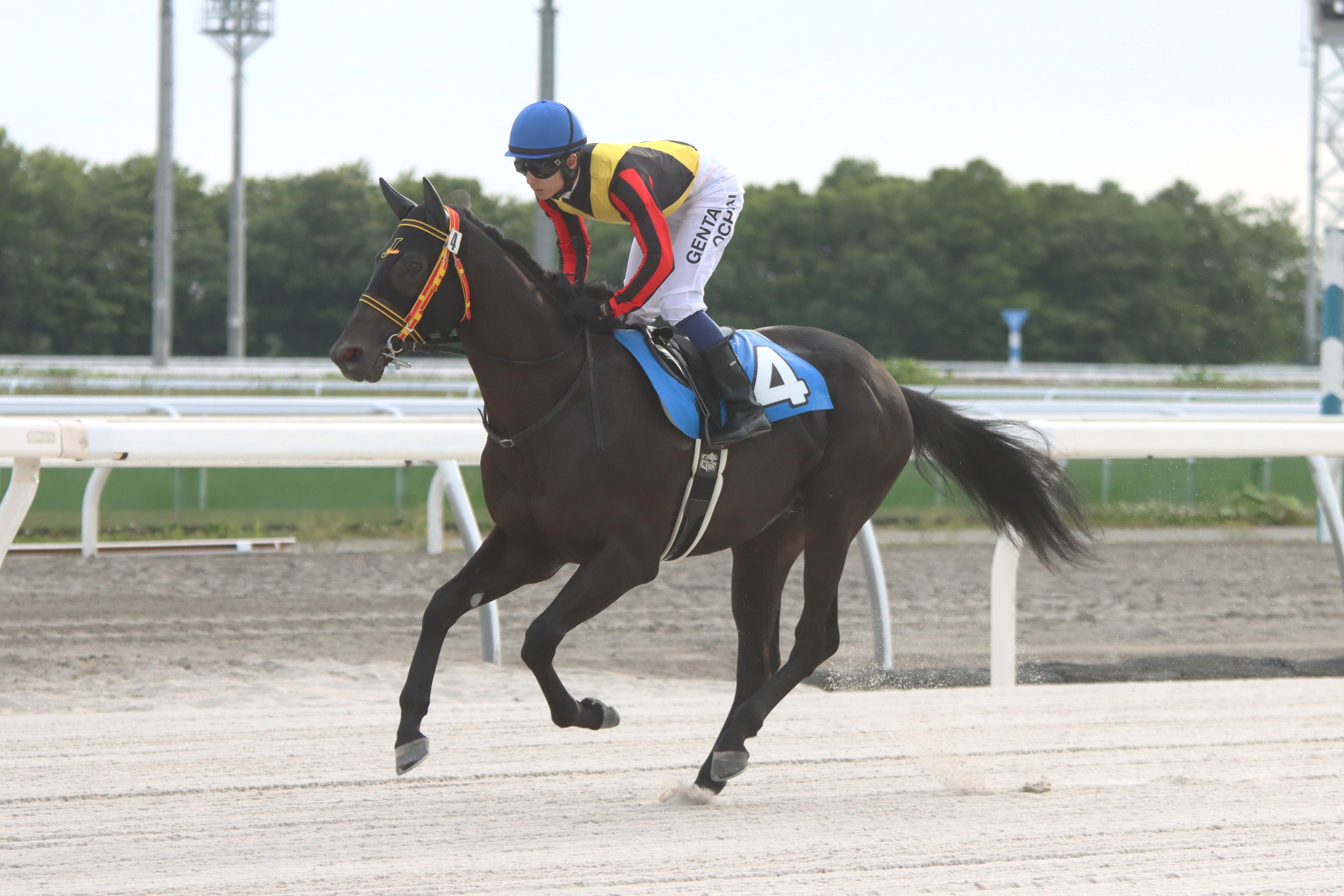 牧場主 愛知牧場 | ZFC.jp