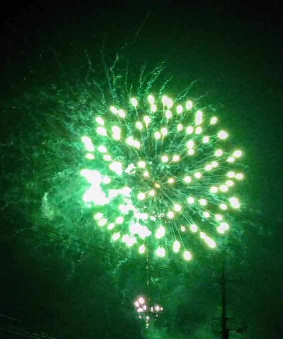 期日前投票したし、今年も推しカラーを堪能出来たので花丸