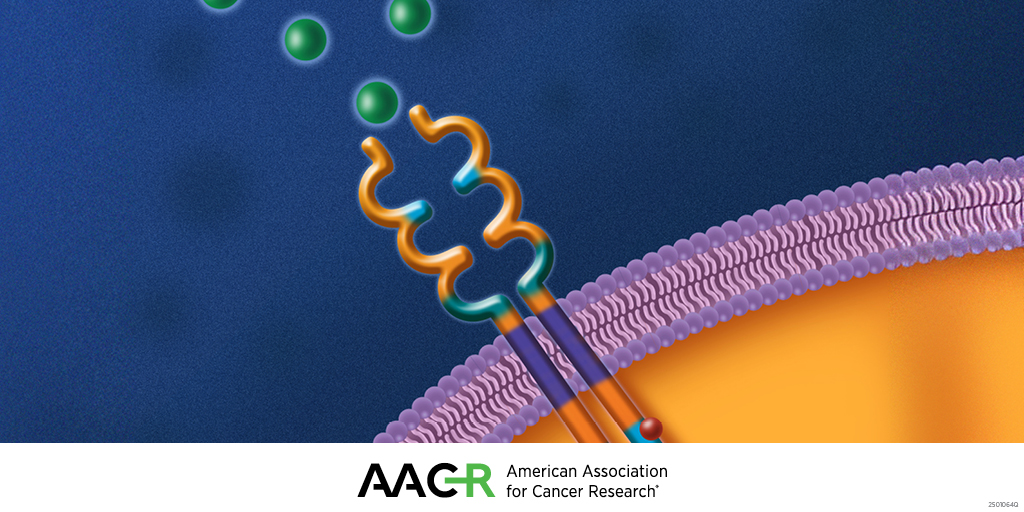 MCT_AACR's tweet image. Read the developmental therapeutics article collection. brnw.ch/21wUhb7 
#ESMOTATAsia25