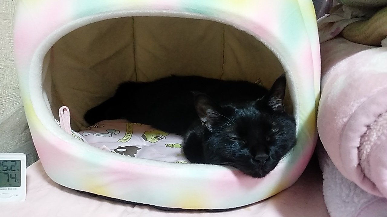 さと on X: 