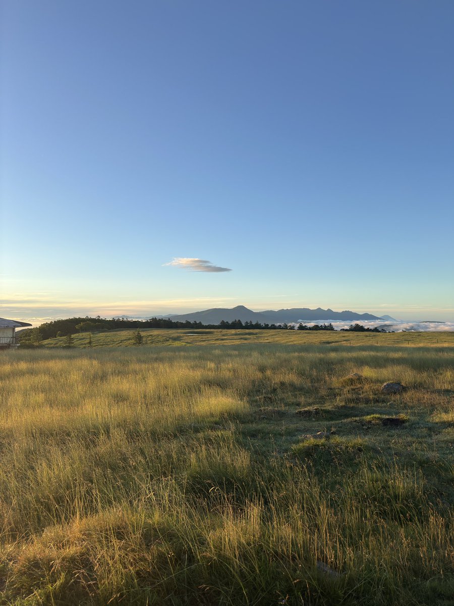 mituo320m's tweet photo. 最高でした…
帰宅したので寝ます https://t.co/7NPM0H5Qn6