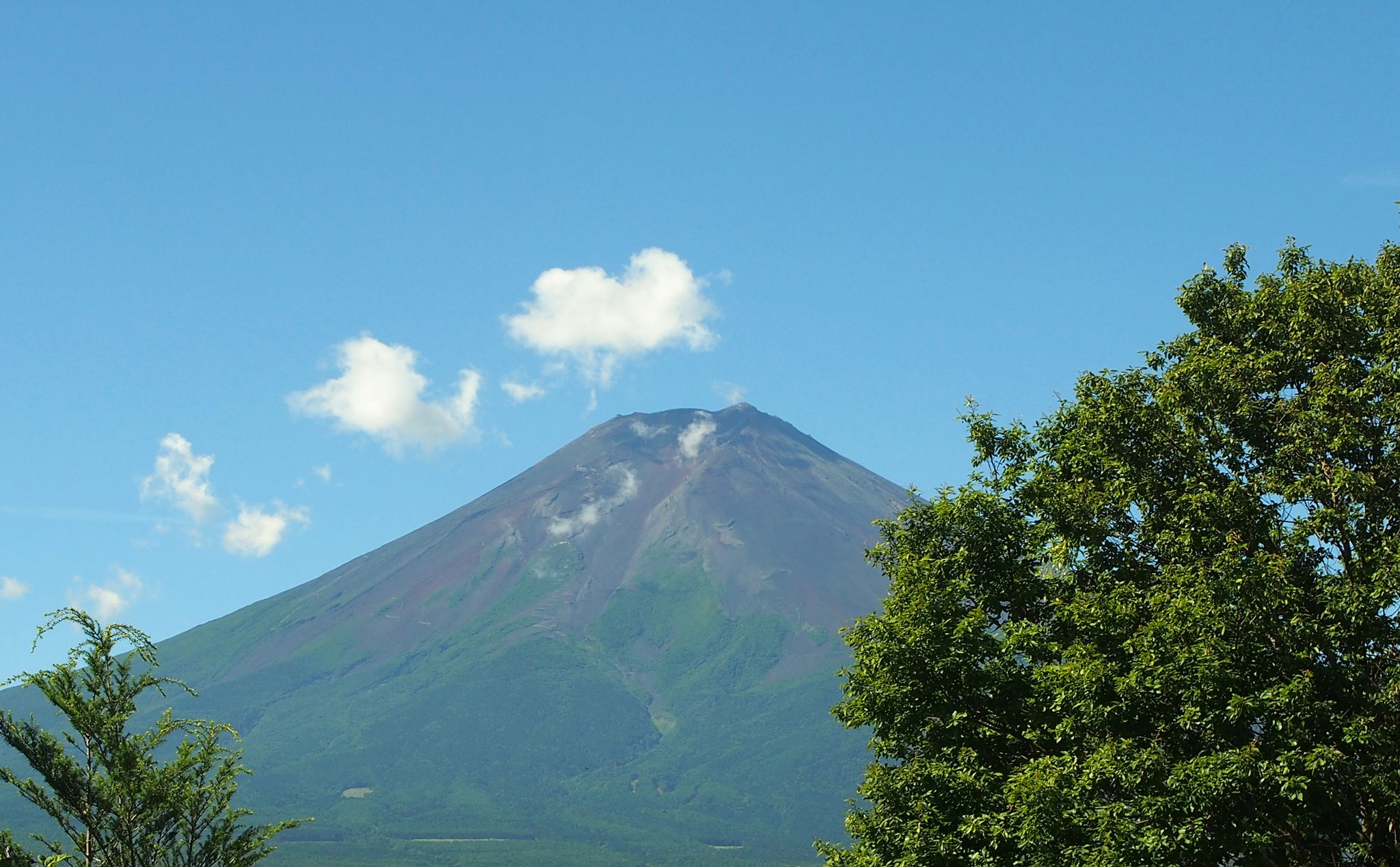富士山 やっこ on X: 