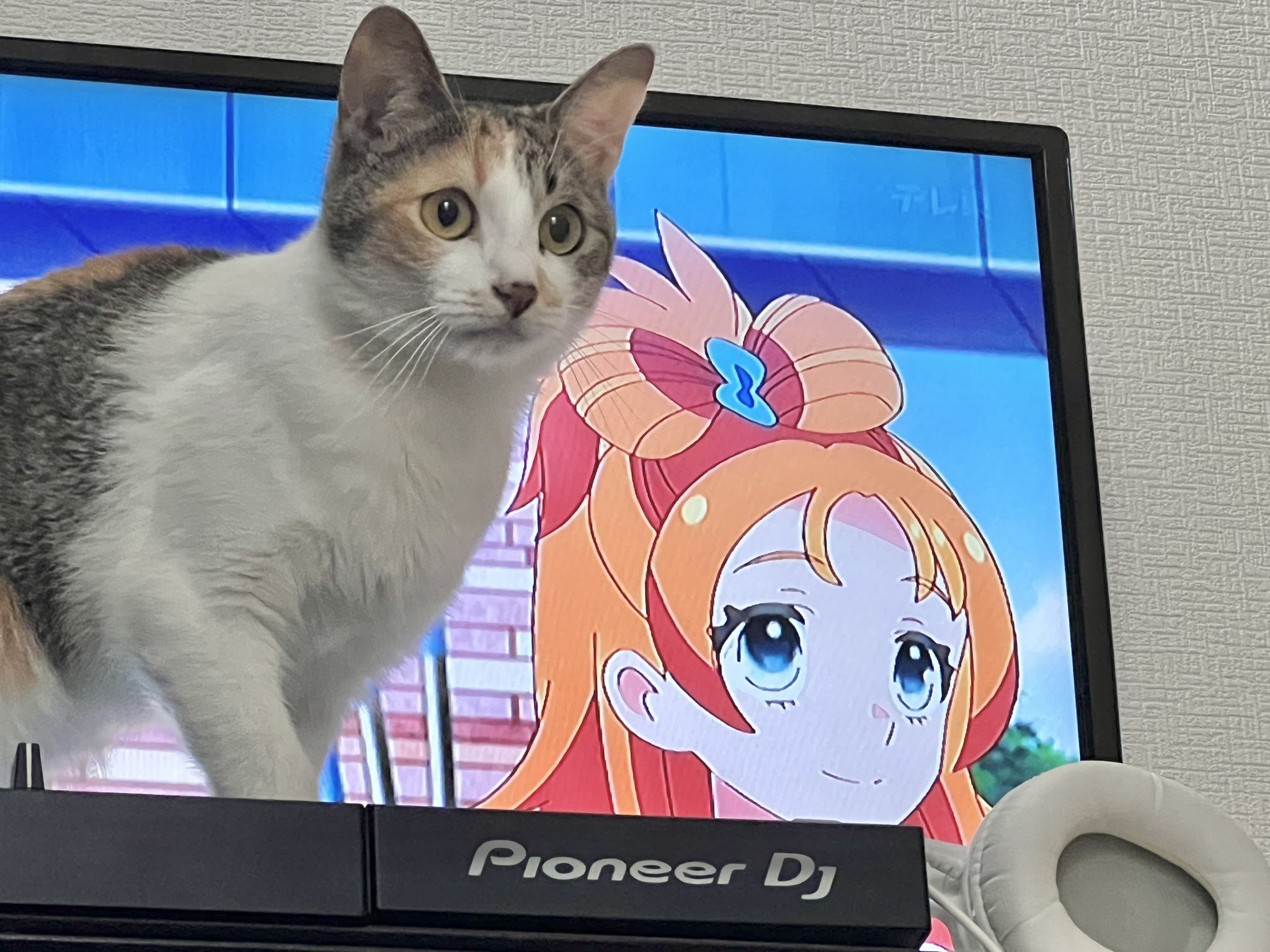 ねこねこ 痛車 痛単車 カスタムバイク紹介 秋葉原UDX駐車場ブログ: 秋葉原