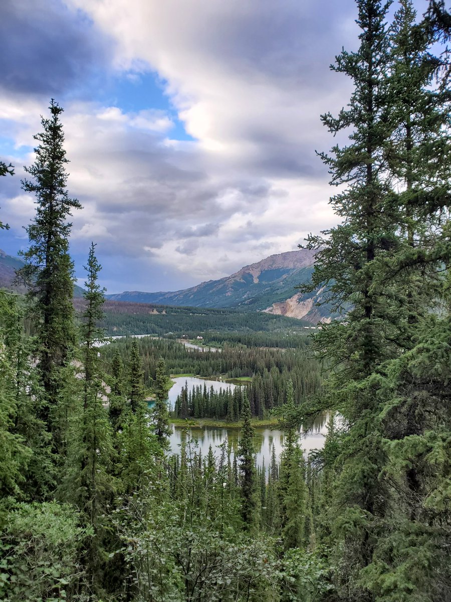 TimpyJoe's tweet image. My favorite snaps from Alaska! :D