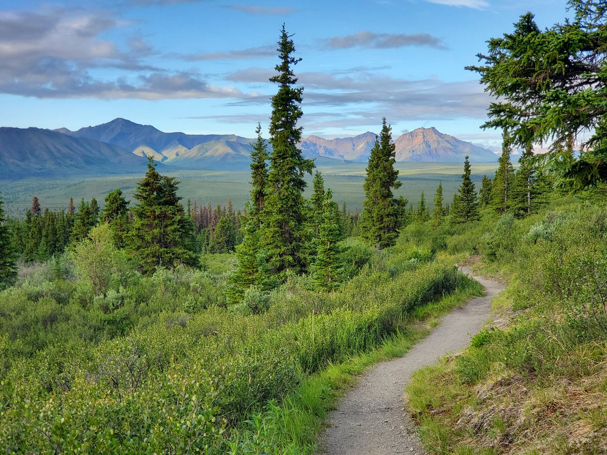 TimpyJoe's tweet image. My favorite snaps from Alaska! :D