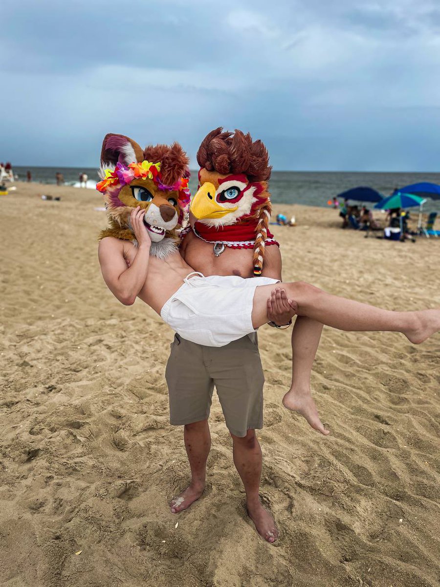 LeRitoOrange's tweet image. Found the best treasure at the beach~ 🧡✨🤍☀️