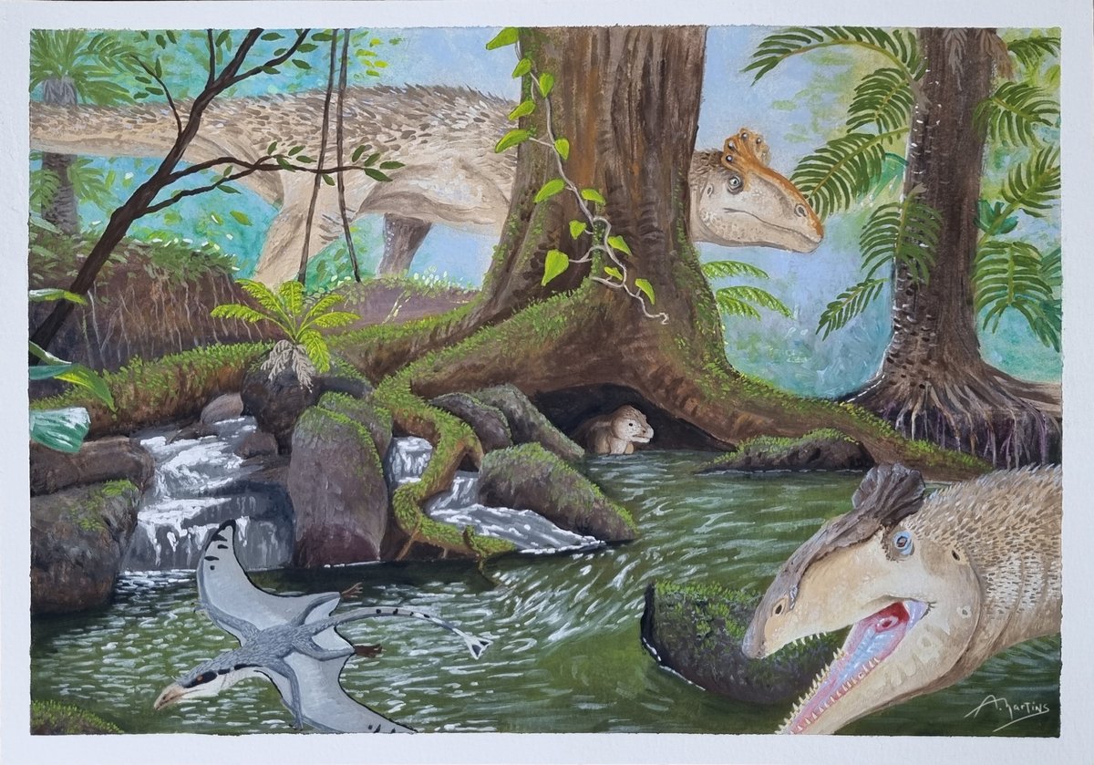 kadeauxmartins's tweet image. Hanson Formation, 190 Ma.
A tritylodontidae tries to hide from a couple of cryolophosaurus while one of them gets distracted by a dimorphodontidae.
Acrylic on paper, 21x29,7cm.
#paleoart #cryolophosaurus #dinosaur