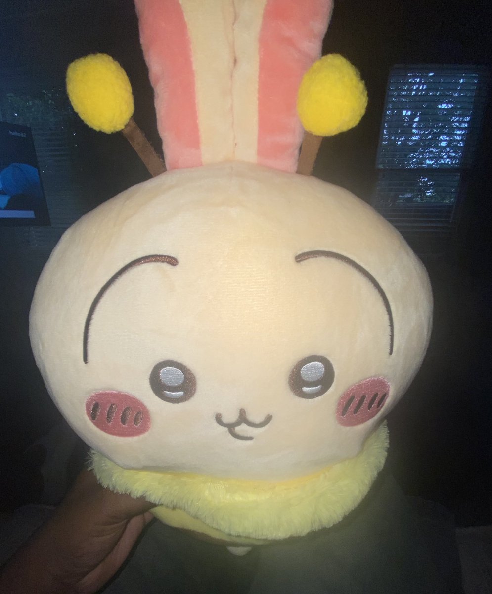 kmoriorz's tweet image. my stepmom is letting me keep the usagi her friend got her from japan