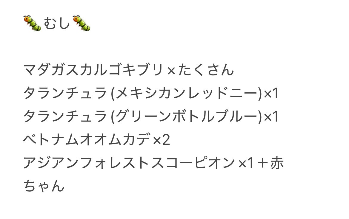 マグネット純 tweet media