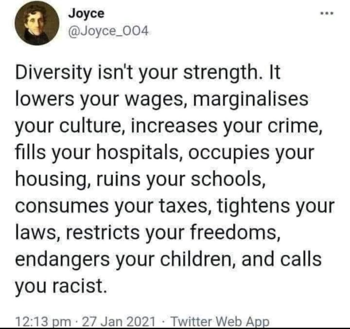“Diversity is a strength” is a lie sold by those engineering your erasure.