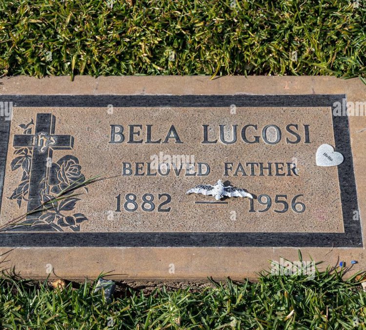 BMTrader's tweet image. #svengoolie Lugosi was buried wearing one of his Count Dracula capes, per his son Bela Jr.’s approval, and supposedly his own wishes