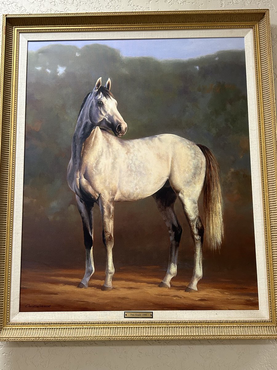 Wondering if this painting of Free House will fit in my suitcase🤔….I was a huge Free House fan and that 97 Preakness wirh Silver Charm, Captain Bodgit and Touch Gold is one of the greatest races I’ve ever seen.