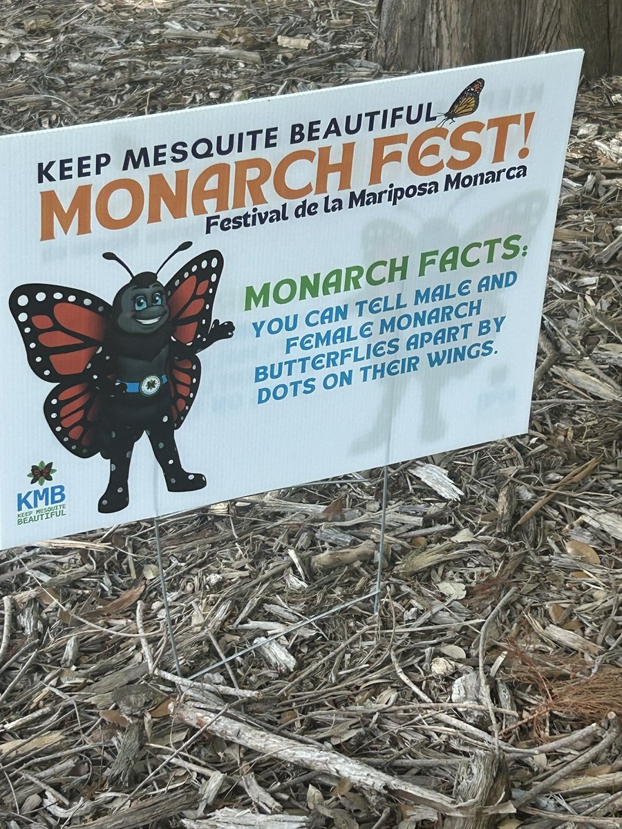 BowersForTexas's tweet image. Grateful to join Monarch Fest with @KeepMesquiteBeautiful! 🦋🌼 From local vendors to releasing butterflies, it was a day full of hope, community, and transformation. #HD113 #MesquiteTX #Mariposa