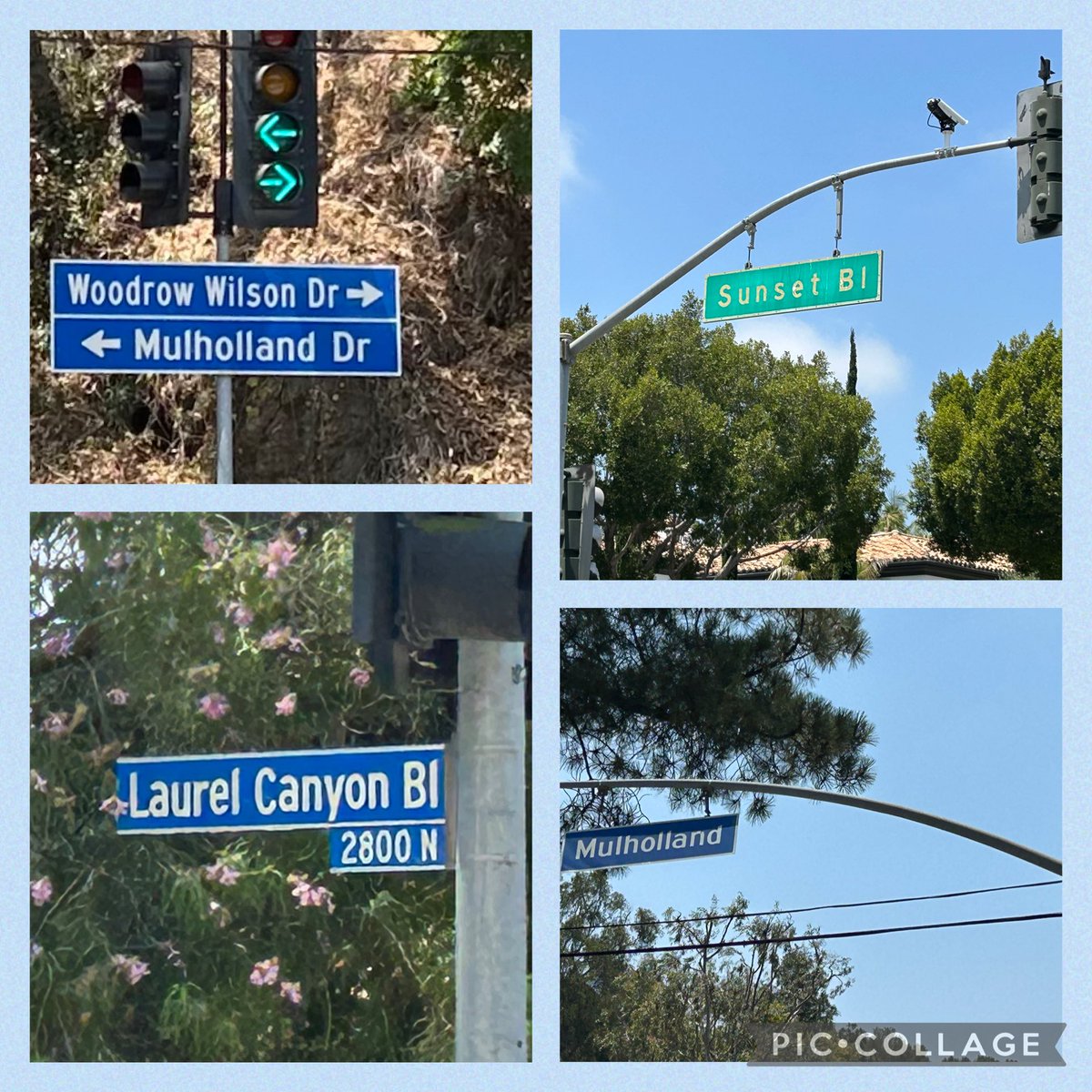 Jane_Arthur_'s tweet image. Hooray for Hollywood 🤩 So many pinch me moments today - appreciating every single moment 🎬🌟🇺🇸🌴