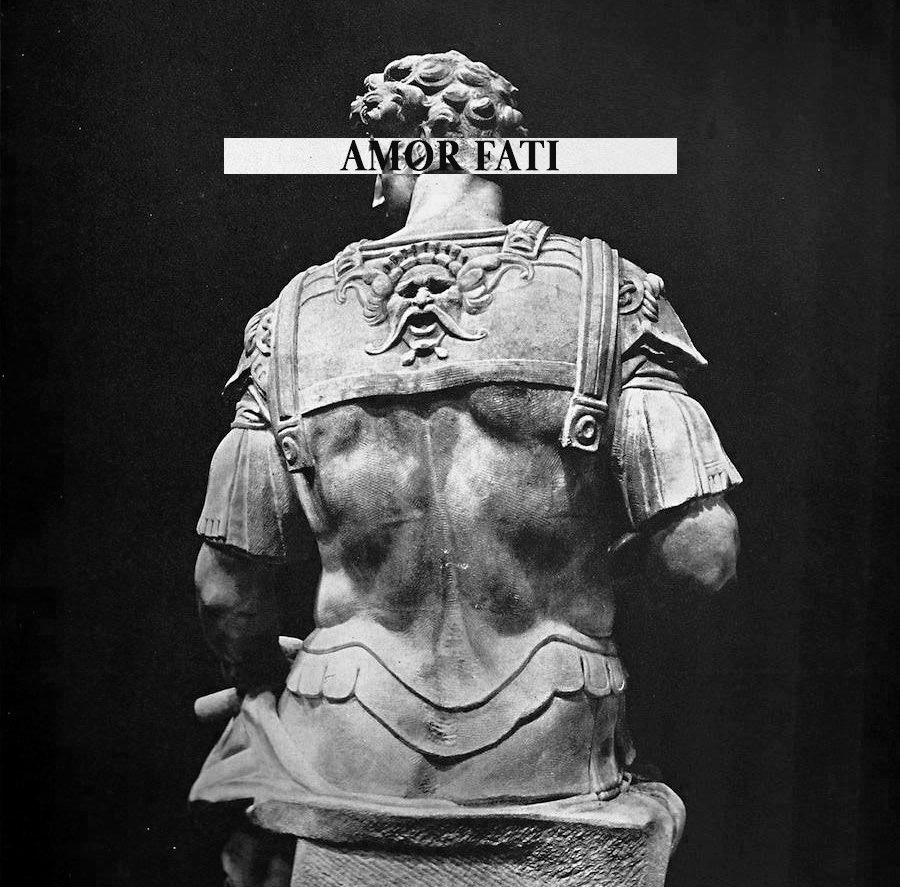 VirgilsQuill's tweet image. We can’t control the external, only our own actions. Accept what fate delivers.