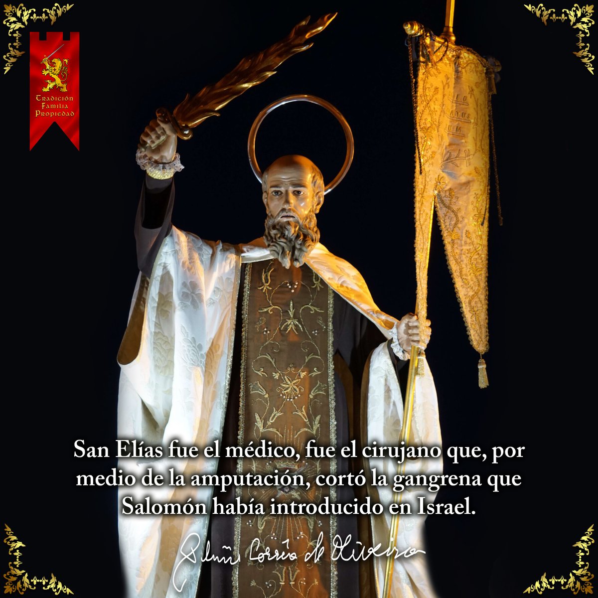 San Elías

#sanelias #Frases #tfp #pliniocorreadeoliveira #Ecuador