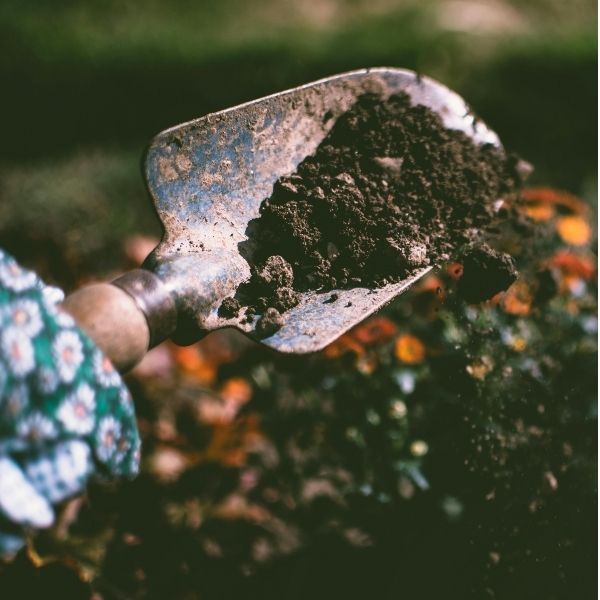 Con EJP SOIL, <a href="/ENEAOfficial/">ENEA</a> promuove suoli agricoli resilienti per contrastare il cambiamento climatico e rafforzare la bioeconomia. La ricerca al centro della transizione ecologica.
#suolo #agricoltura #sostenibilità
geosmartmagazine.it/2025/06/09/suo…