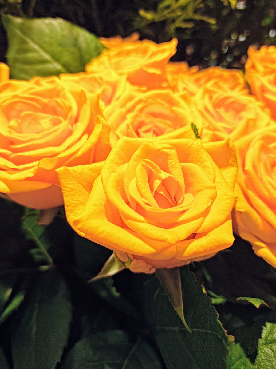 lily49547397's tweet image. 夏が嫌い、光が痛い
意味のない事はないと
信じて、進もうよ…
#選挙へ行こう・参議選🗾
#素敵な奮闘途中の人々🕊️
#穏やか奮闘途中の日々💛