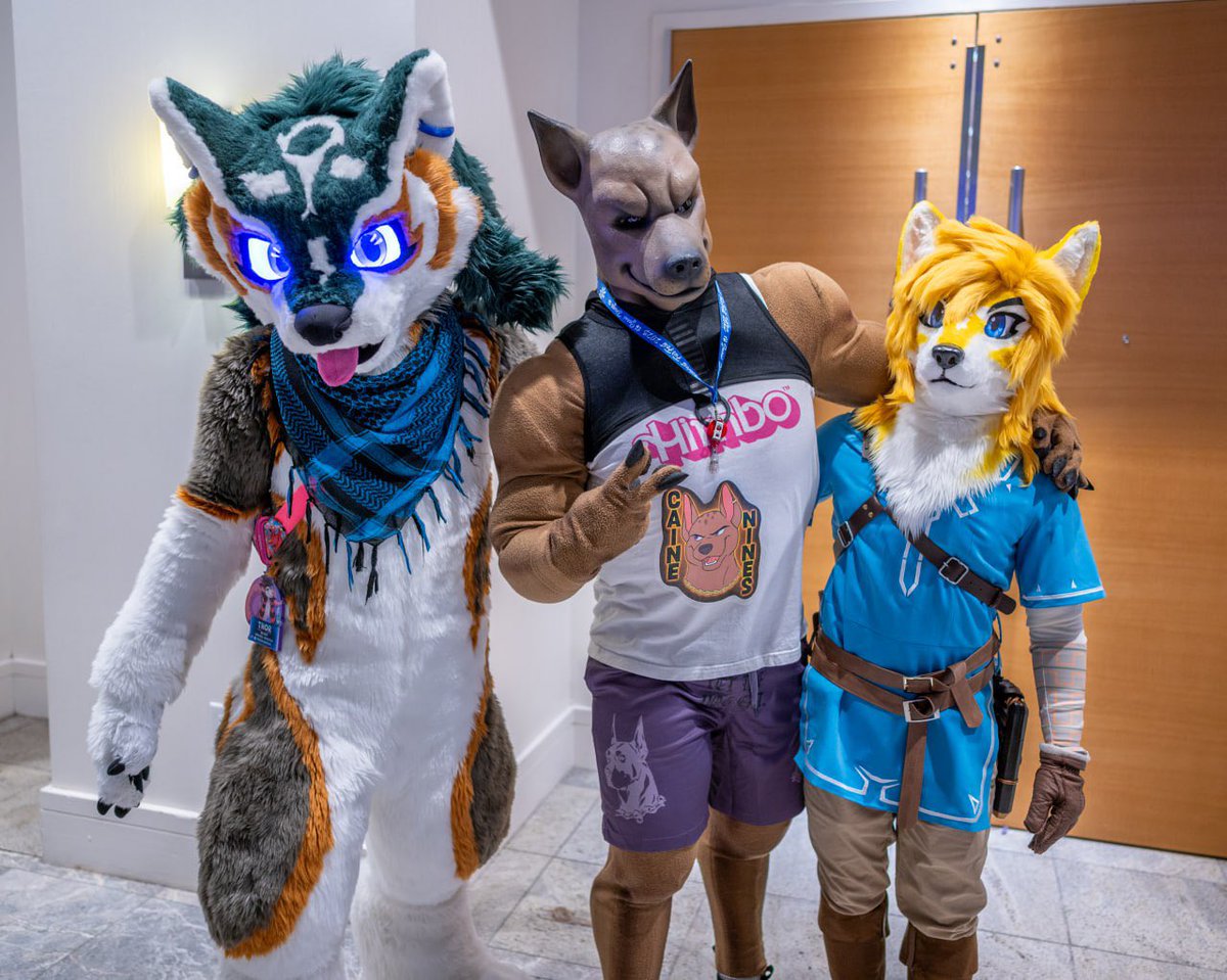 cainenines's tweet image. Sneaky Link

With @possombrews and @BazoBovo at @FurryWeekend

#furry #fursuit #puppy #dog #xolo #wolf #fwa #FWA25