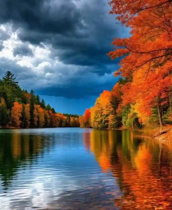 Ilyas Khan (@ilyaskhan630176) on Twitter photo 