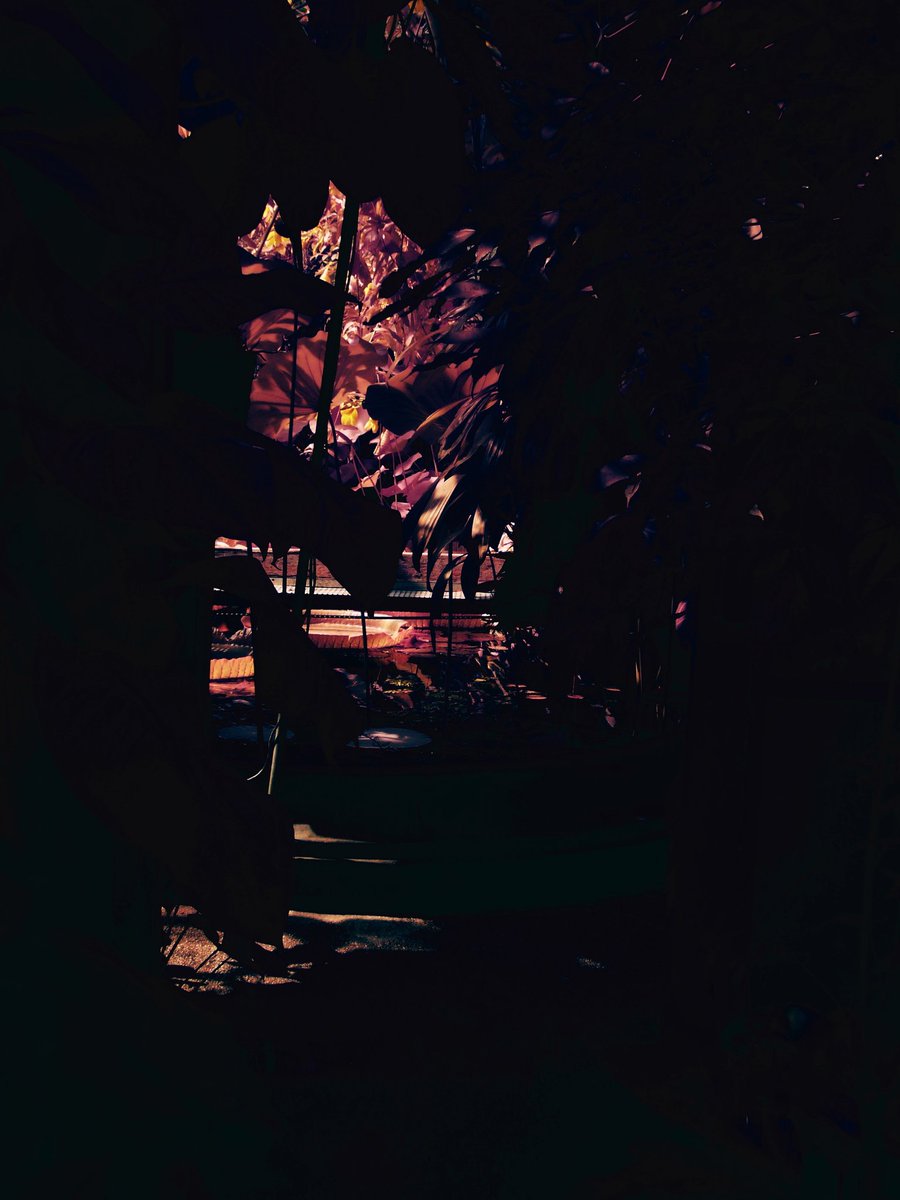 J553617746654's tweet image. 10082024