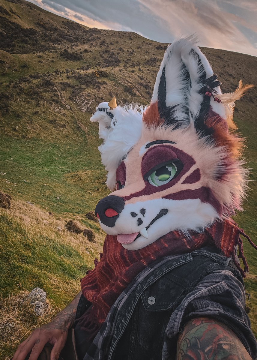 This is what I mean when I say I'm out doing Fox things btw 🐾 🦊
