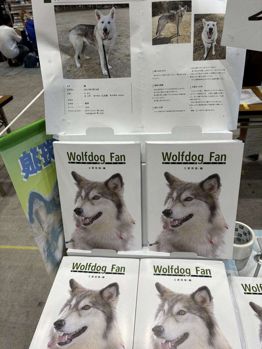 犬と狼のはざまで 犬と狼のはざまで | サーシャ ソコロフ, 東海