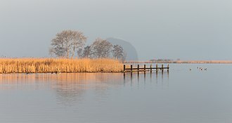 Bild des Tages am 20. Juli auf Wikimedia Commons

✨ Entdecke die Welt von SteinKunstWerk – handgemacht mit Herz!

🛍️ Shop: [steinkunstwerk.de](steinkunstwerk.de)  
📬 Newsletter: [Jetzt anmelden &amp; Vorteile sichern](bit.ly/3VN3Tff)  
📖 Blog (DE): [