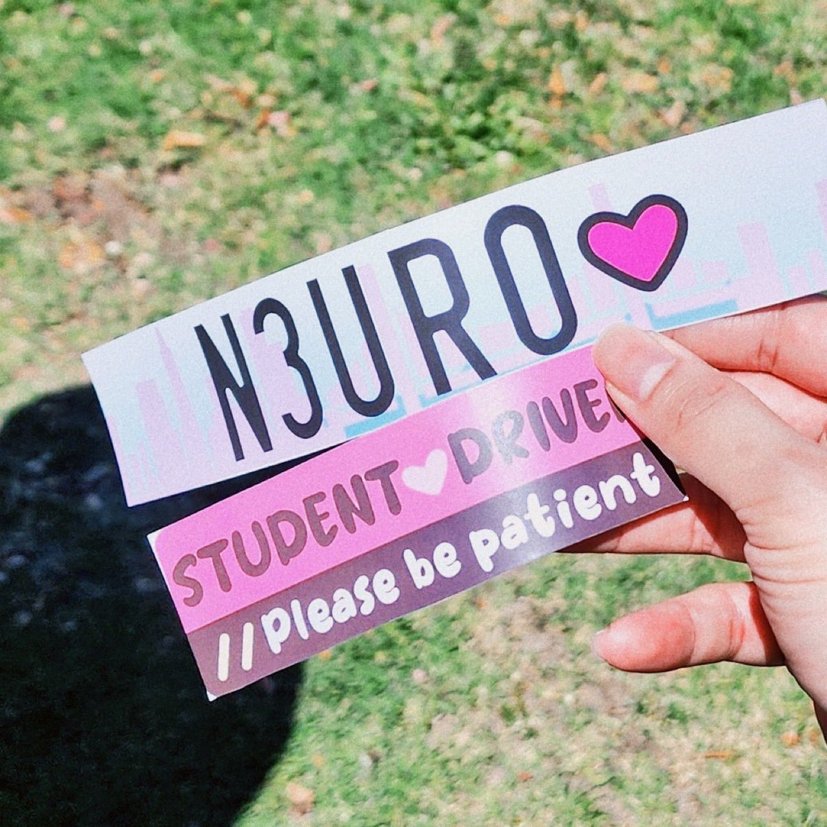 chrchievt's tweet image. flew to sf and got to hang out with two beautiful smart girls (ellie and bao) as i helped them with neurocar graphics only to get sick the day open sauce starts and fly home :((( ๐ญ๐ญ๐ญ the designs live on ๐ซก
