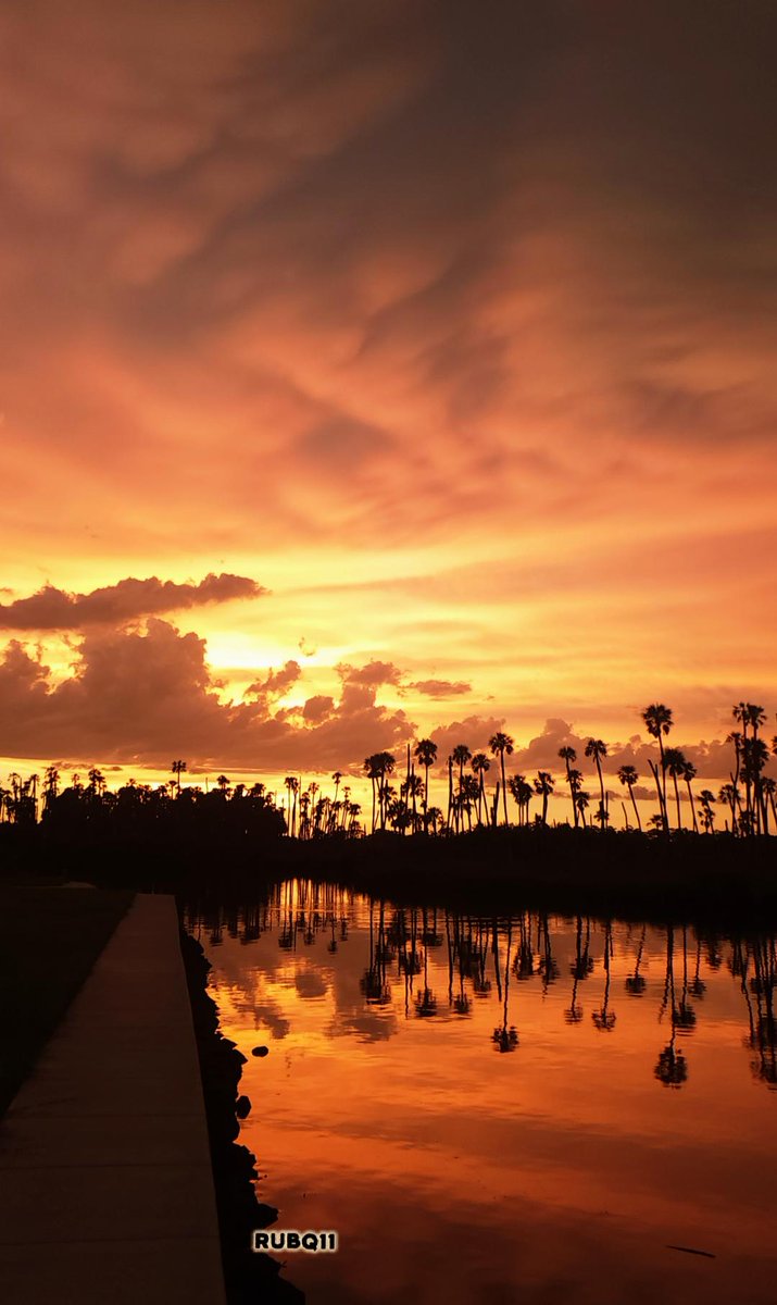 Adopt the pace of nature:
 her secret is patience
~Ralph Waldo Emerson