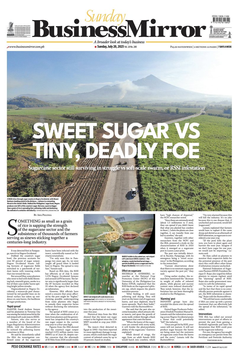 Cai Ordinario (@caiordinario) on Twitter photo Sweet sugar vs tiny, deadly foe. Story by <a href="/adapelonia/">Ada Pelonia</a> here: businessmirror.com.ph/2025/07/20/swe… via <a href="/BusinessMirror/">BusinessMirror</a> Sweet sugar vs tiny, deadly foe. Story by <a href="/adapelonia/">Ada Pelonia</a> here: businessmirror.com.ph/2025/07/20/swe… via <a href="/BusinessMirror/">BusinessMirror</a>