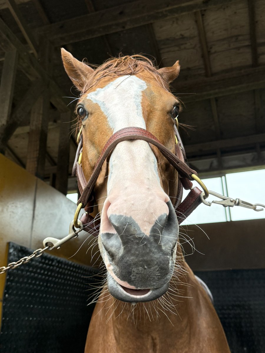 arrowstud_staff's tweet image. 【!?】
お、お、おジャス、、お口、、、
#びっくりはてなまーく
#ジャスティン
#お口がゆるんでいぇーーーい
#水も滴る良い男
#アロースタッド