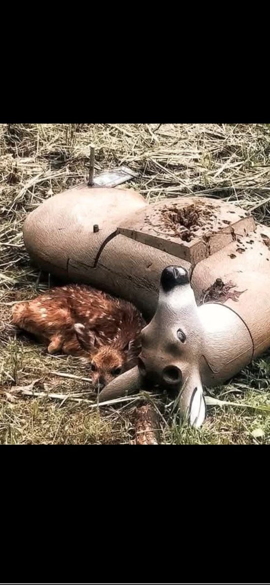 محمود💙מחמוד💙mahmud💙 tweet media