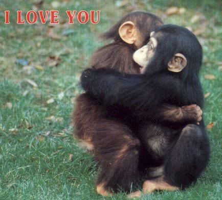 lttleheartless's tweet image. @ all my moots