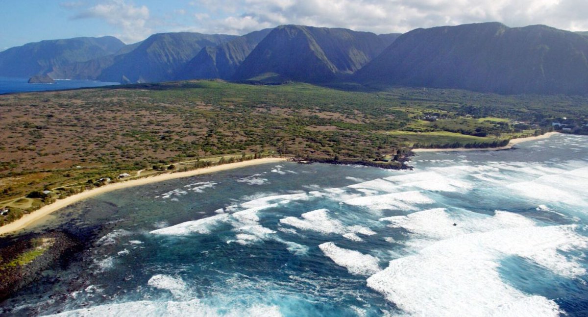 reef_research's tweet image. JOB OPPORTUNITY: Maui Nui Community Engagement Coordinator (Coral Reef Alliance)
coral.org/en/job-opportu…
Coral Reef Alliance (CORAL) is seeking a motivated and resourceful individual to support our work in Maui Nui. The ideal candidate has communication strengths and the…