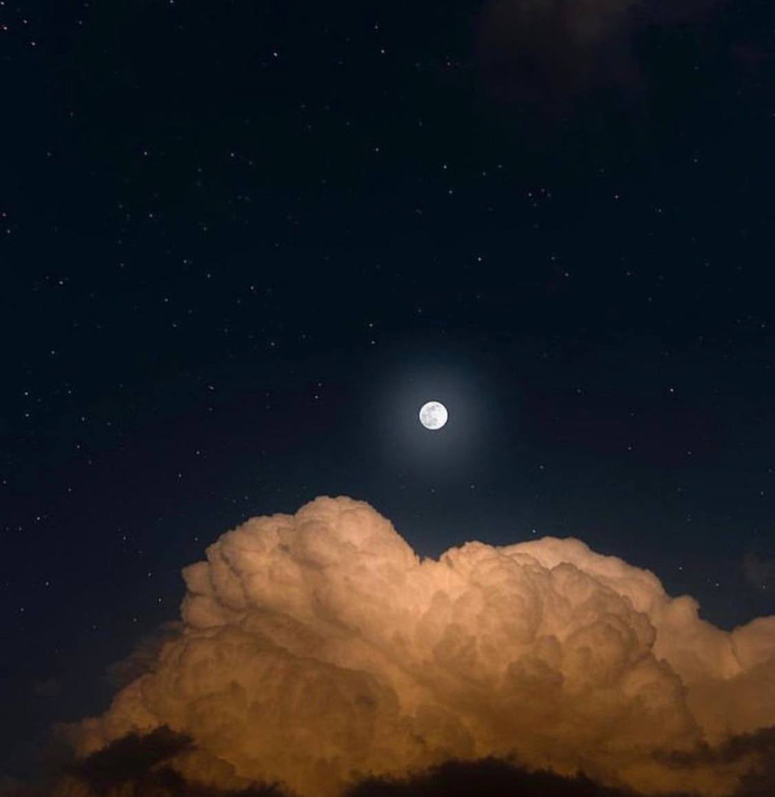 في كثير من الأوقات لا تفيد الثقة بشيء، مالم تكن الطمأنة حاضرة؛ لأن الواحد منّا حين يُحب يودّ أن يتم اشعاره بذلك، أو أن يشعر به على الأقل.