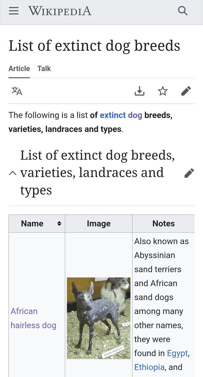 MGS3Lover's tweet image. 1:47 in the morning but im too sad to fall asleep so im just looking at extinct dog breeds because im sad