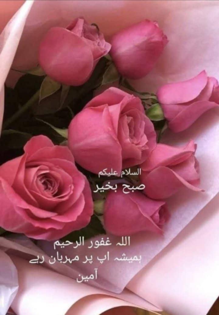 Javed60M's tweet image. السلام علیکم و رحمت اللہ و برکاتہ