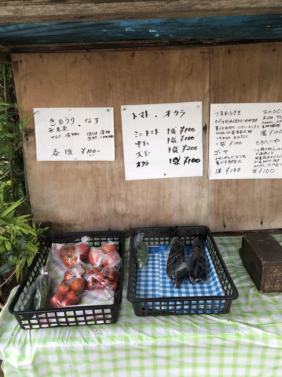 参議院選挙、いつも消去法だったところ、今回は入れたいところ多くてだいぶ迷ったが、なんとか投票完了！

そして、近所の無人野菜販売所。儲ける気がまったく無い。無欲なんだろうな…。新鮮でモノもいい☺️